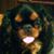 Baxter Bedard's profile image