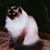 Doris Vincent Gregory's profile image