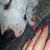 Stefanie Rogers's profile image