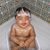 Chauve Lambout's profile image