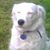 Patti Sanders's profile image