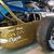 Jody Saroka's profile image