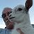 Kim White's profile image