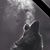 Carmen Lim's profile image