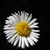 Karla Klemann's profile image