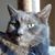 Glenn Girtman's profile image