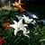 Lorinda Stierwalt's profile image