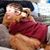 Casey Danforth's profile image