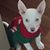 Rachel Talmadge's profile image