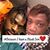 Decrystalle Williams's profile image