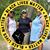 Shameka Williams's profile image