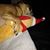 Kathleen Stedjee's profile image