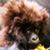 Koa Frida Danzoa's profile image
