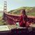 Alexandra Ampferer's profile image