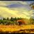 Heather Brooke Bielemeier's profile image