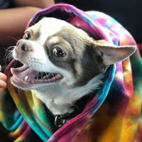 Terri Leasure King's profile image