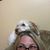 Pat Zullo Horning's profile image