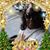 Stephanie Turner Aldridge's profile image