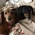 Michelle Lippert Herman's profile image