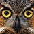 Lori Pick's profile image