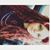 Cecilia Francesca Kataryna's profile image