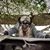 Denise Ericksson's profile image