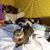Jessica Pidgeon's profile image