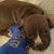 Tina Jones's profile image