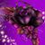 Elvira Orozco's profile image