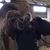 Lisa Jeansonne's profile image