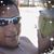 Efrain Smole's profile image