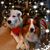 Karen DeVellis Heffernan Brady's profile image