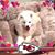 Nancy Bruda's profile image