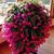 Kathy Omillion Prazenka's profile image