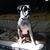 James Bartee's profile image