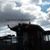 Pebbles Brewer's profile image