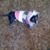 Kathy Mindling Diener's profile image