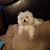Christi Miller Thomasino's profile image