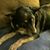 Izzy Ranta's profile image