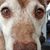 Rhonda Barter Lepak's profile image