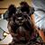 Brenda Cocchio's profile image