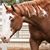 Linda Tapley-Kambeitz's profile image