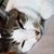 Nancy Williams's profile image