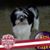 Sandie Collins's profile image