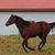 Christine Winters's profile image