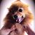 Paula David's profile image