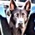 Love Orenda's profile image