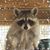 Barbara Yahn's profile image
