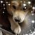 Mike Simister's profile image