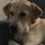 Jim Pennington's profile image